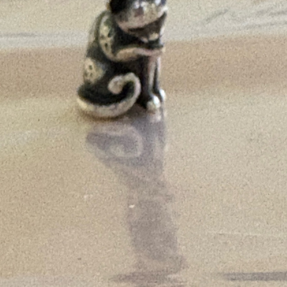 Silver “Sweet Kitty” Charm